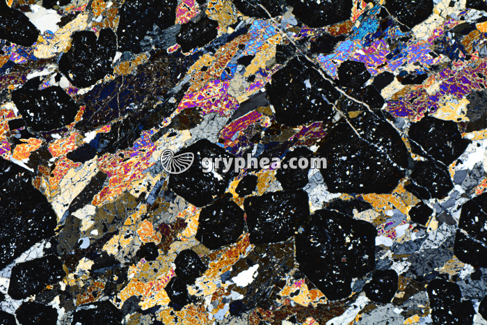 Eclogite LPA x3,5 - gryphea.org